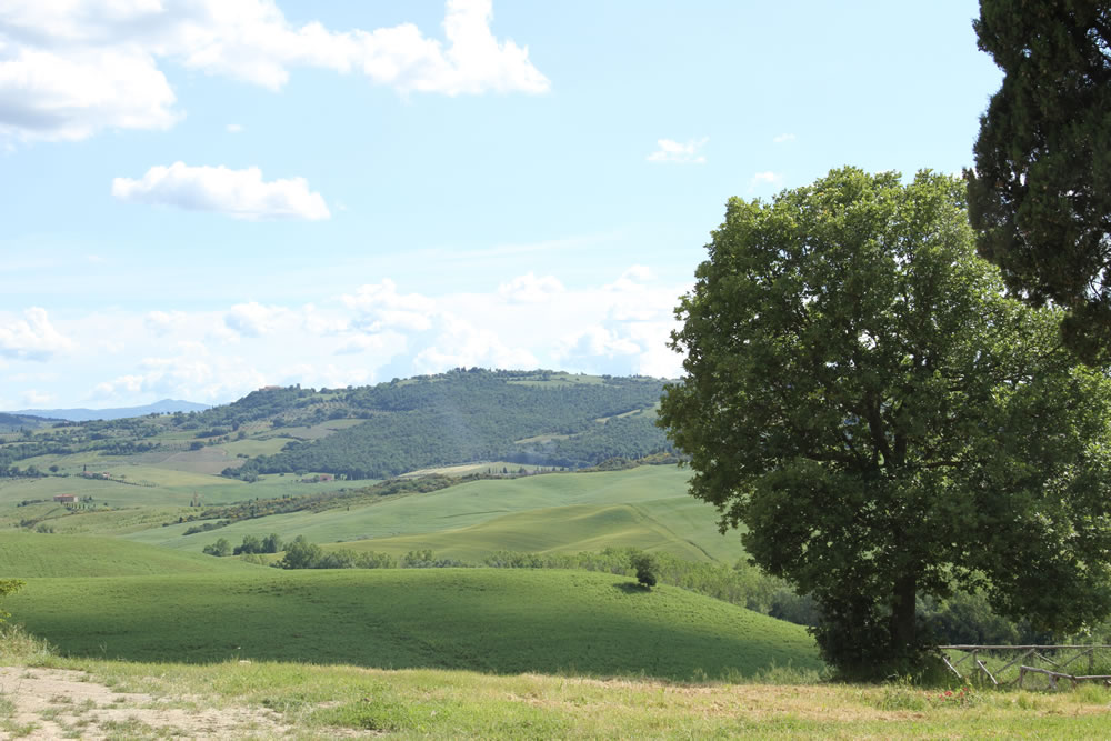 Detail of Tuscan Countryside 6